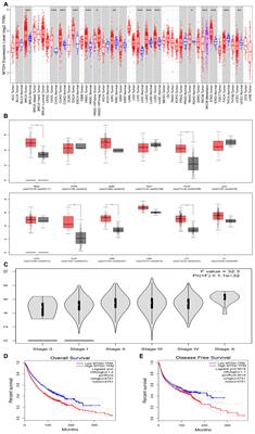 mRNA-seq-based analysis predicts: AEG-1 is a therapeutic target and immunotherapy biomarker for pan-cancer, including OSCC